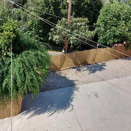 Niki Thalia Viros 1 Kastanéa